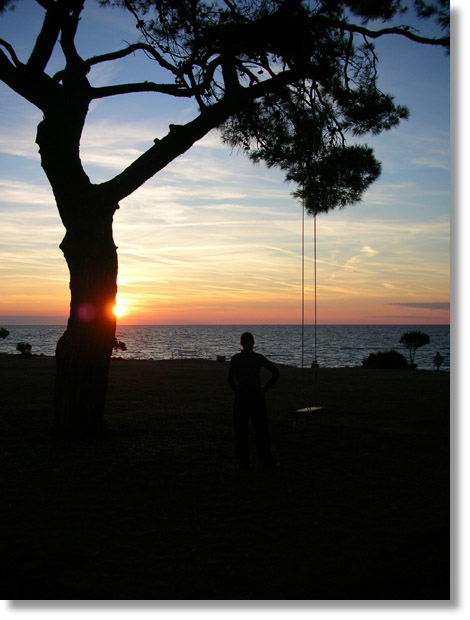 dugi_otok_sunset_pines_hoop