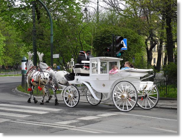 krakow_white_horses