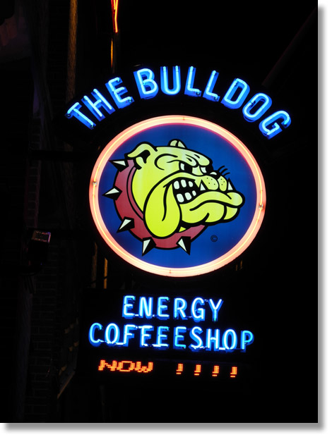 coffee_shop_bulldog