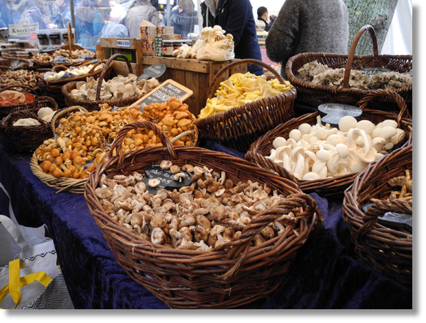 noordermarkt_saturday_mushrooms