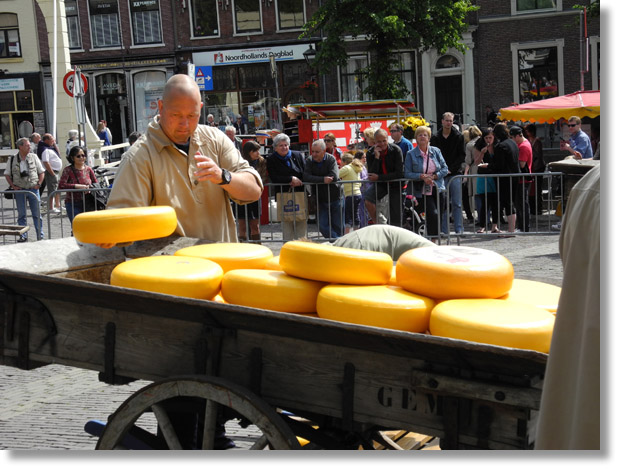 alkmaar_cheese