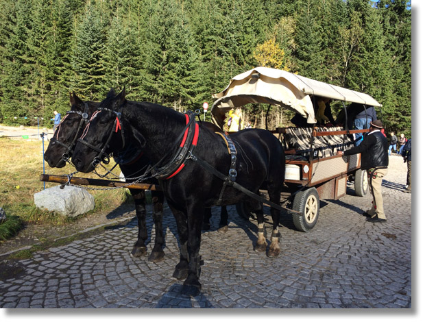 tatras_morskie_oko_horses_carriage