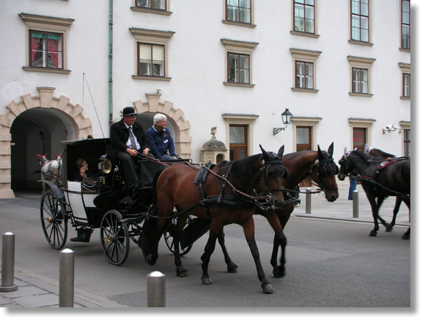 hofburg_horses